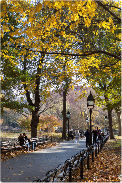 Fall NY