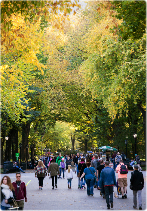 Fall NYC