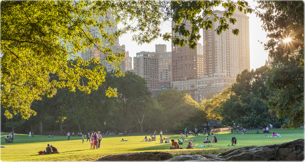 Lawn Central Park