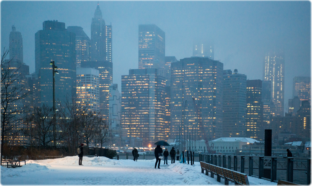 Winter Brooklyn