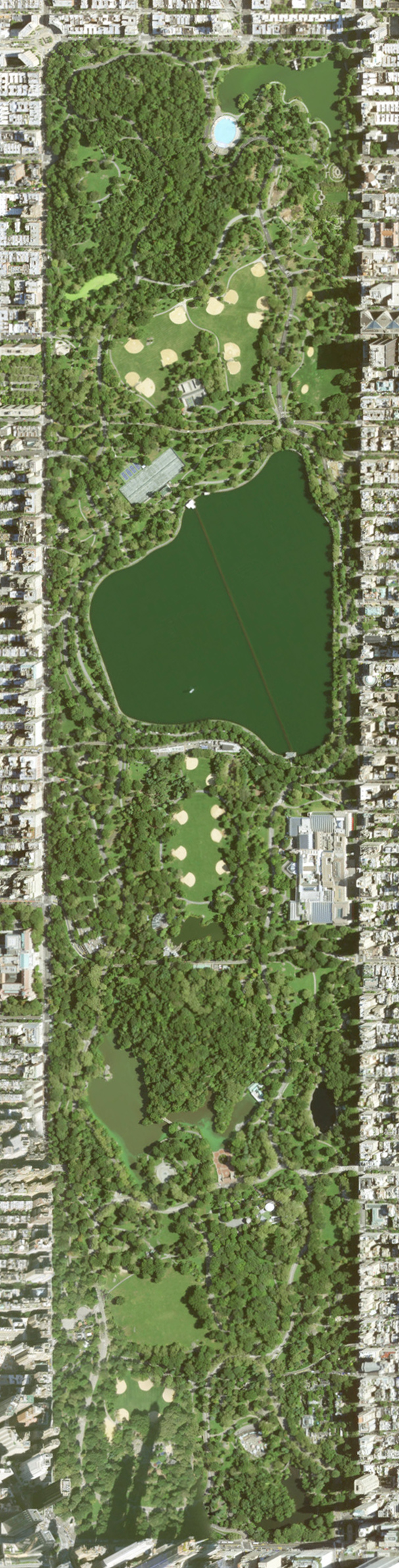 Central Park image